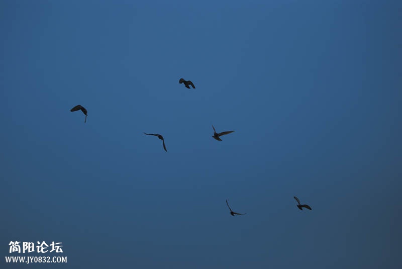 DSC_3719_副本.jpg