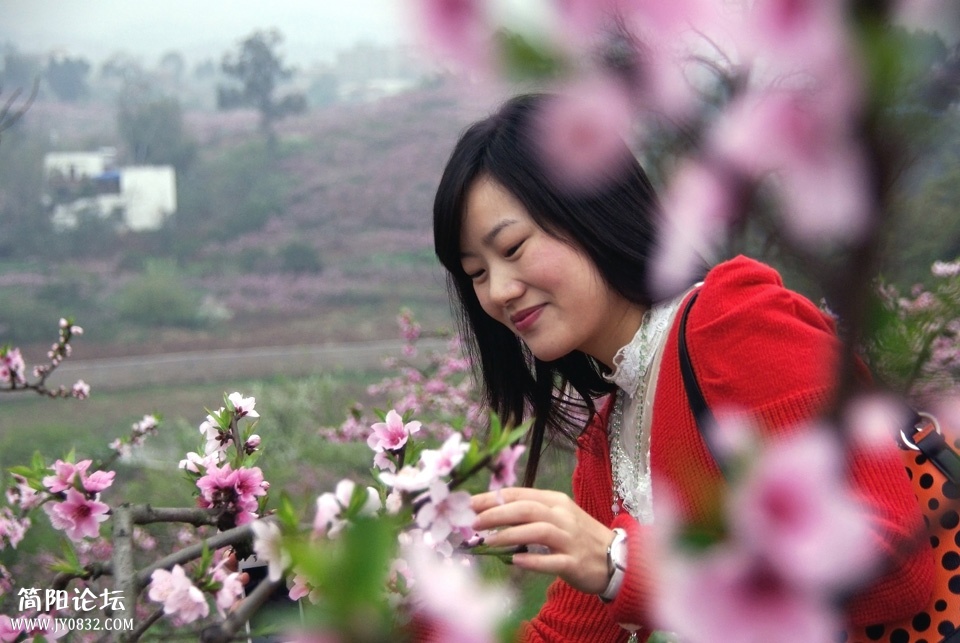 IMGP9013m.jpg
