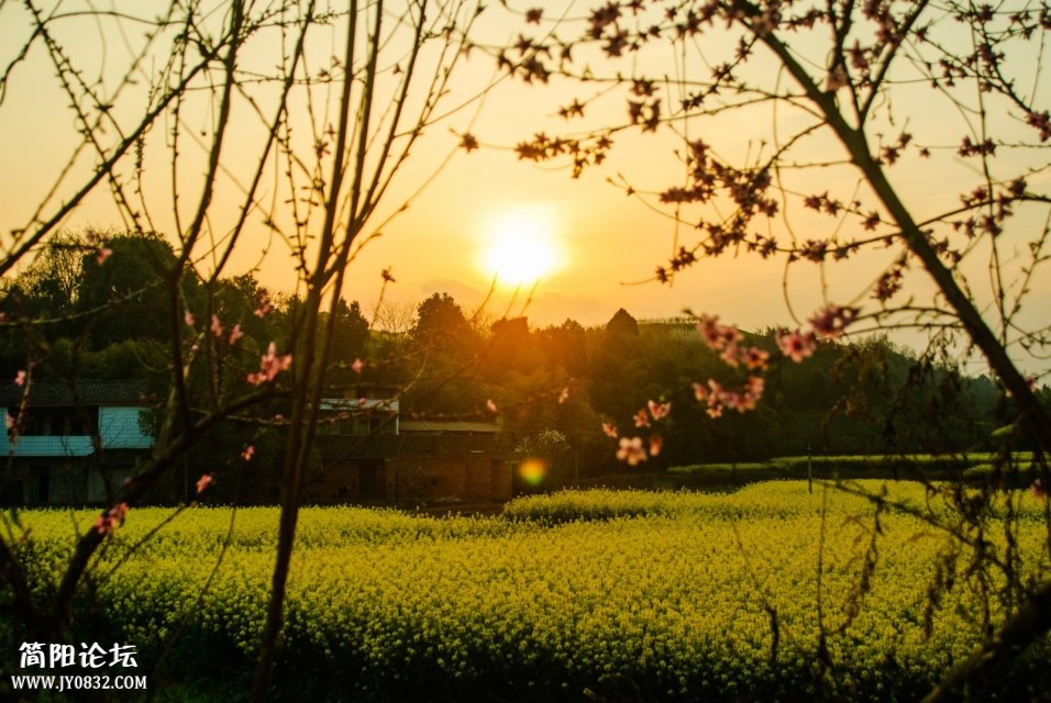 养马新农村 (3).jpg
