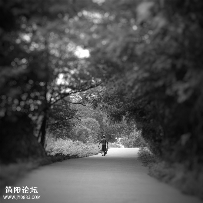 养马新农村.jpg