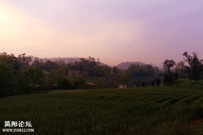 IMG_1433_副本.jpg