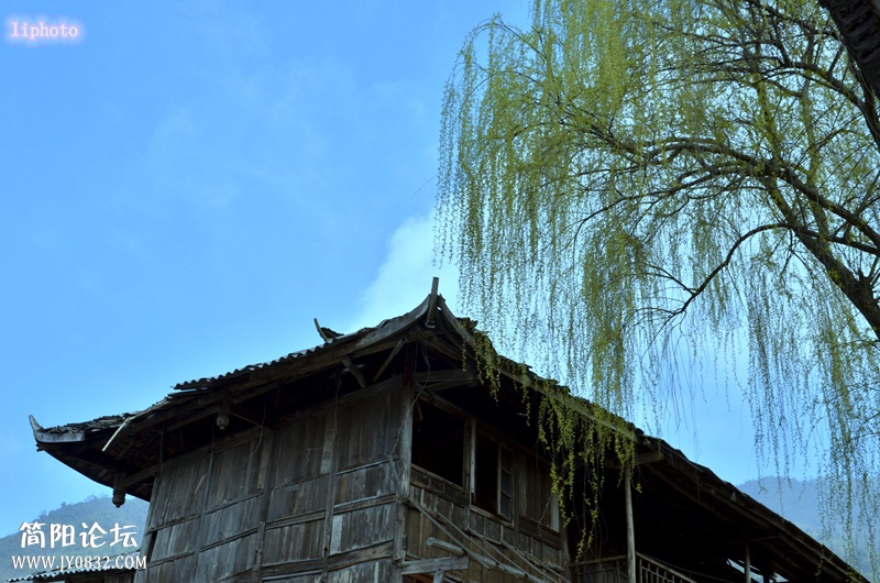 _LIM1903_副本_副本.jpg