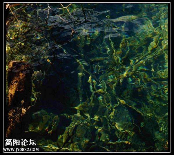 DSC02235_副本_副本.jpg