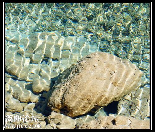 DSC02474_副本_副本.jpg