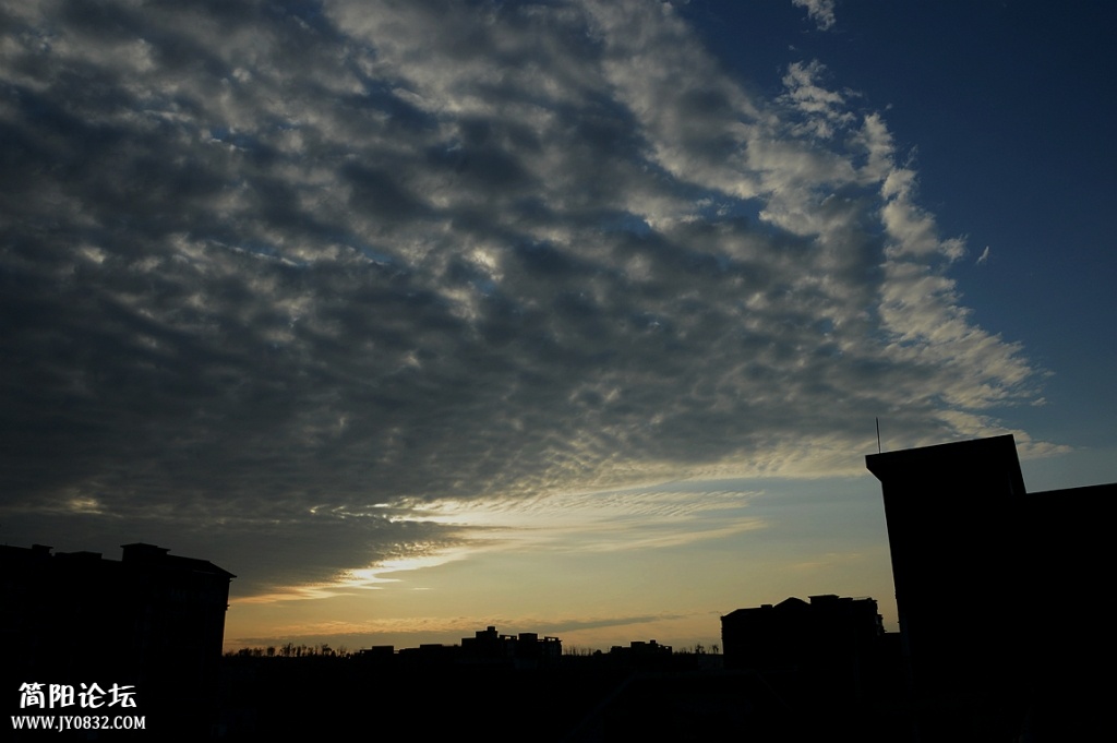 DSC_2988_副本.jpg