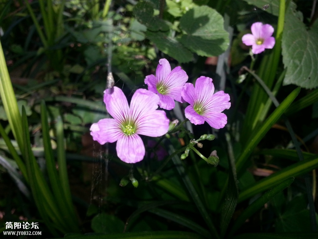 20140412_141053.jpg
