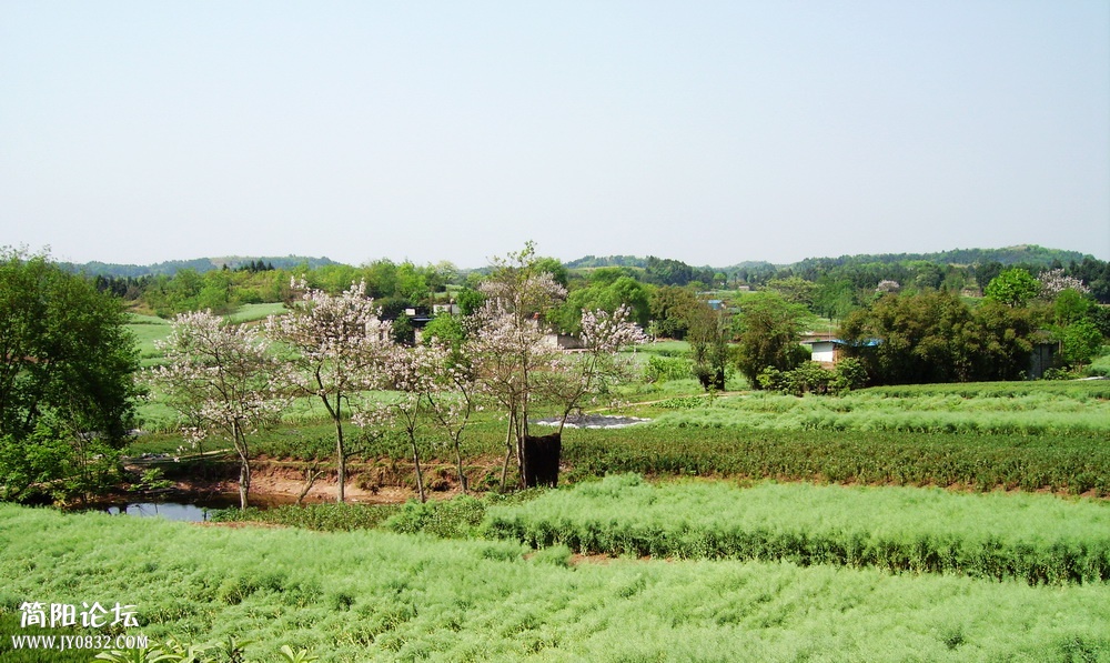 IMGP0010_副本_调整大小.jpg