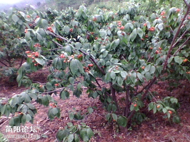 IMG_20140415_105032874.jpg