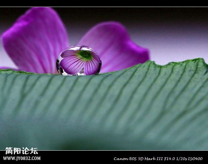 水珠.jpg