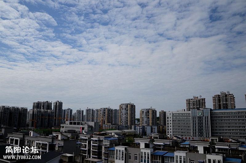 DSC_3069_副本.jpg