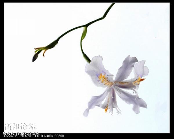IMG_1927a_副本aaa0.jpg