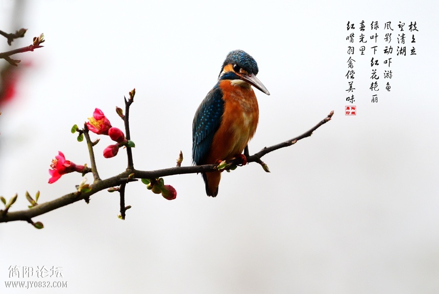 17、组照1- (1).jpg