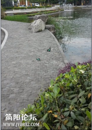 QQ截图20140428144346.png