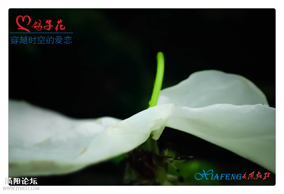 DSC_0835a_副本1.jpg