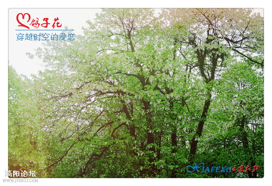 DSC_0537b_副本.jpg