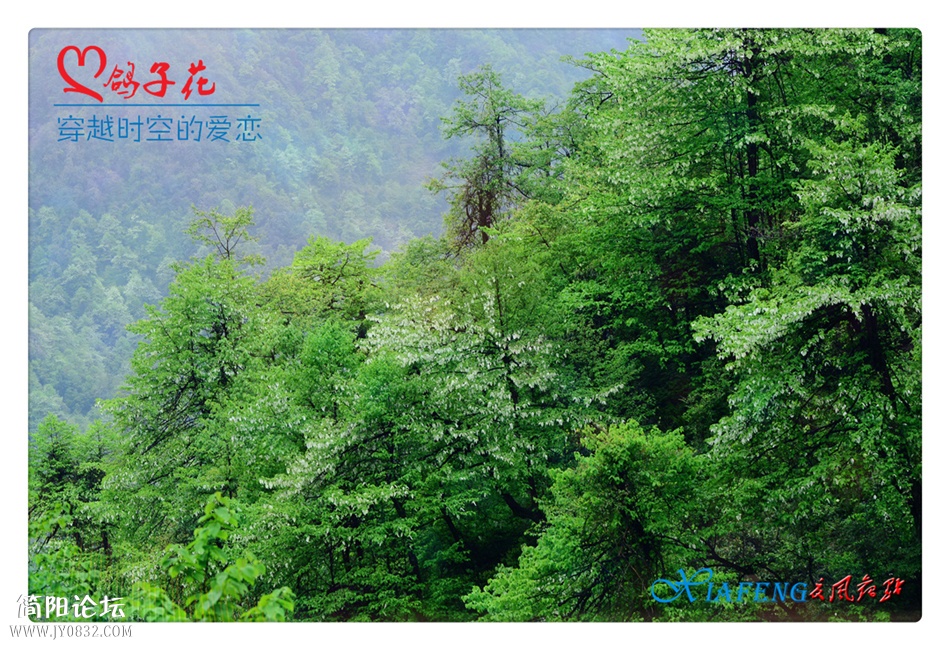 DSC_0652a_副本.jpg
