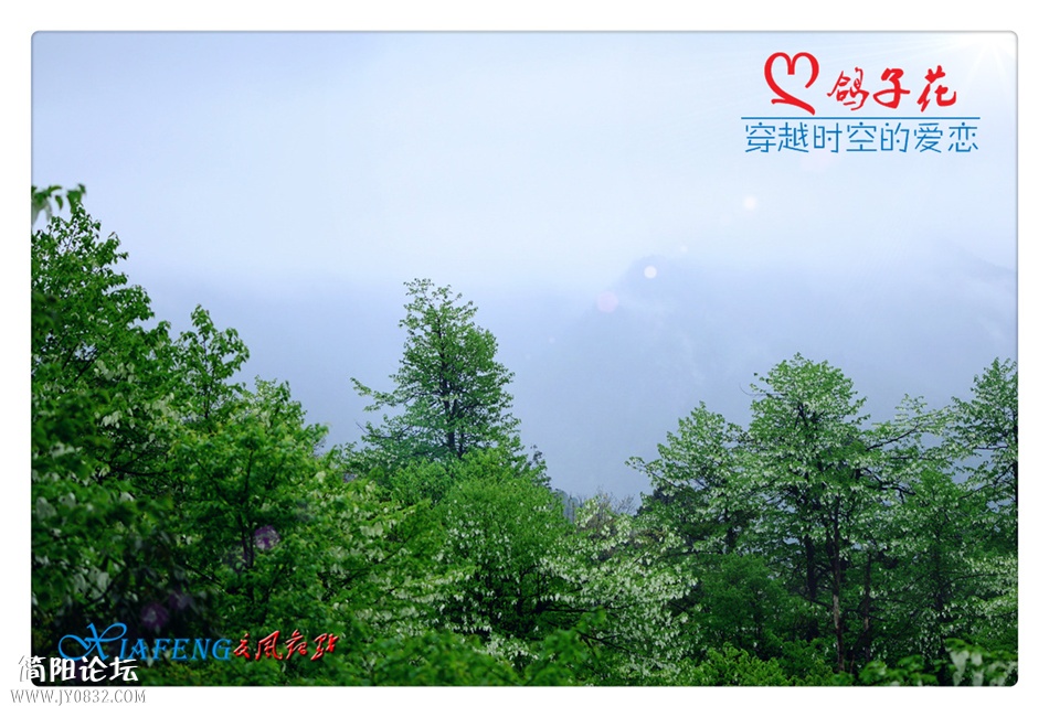 DSC_0680a.jpg