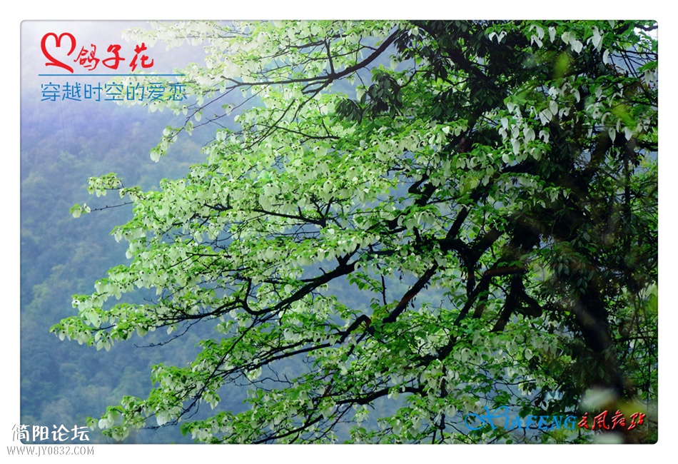 DSC_0729a_副本.jpg