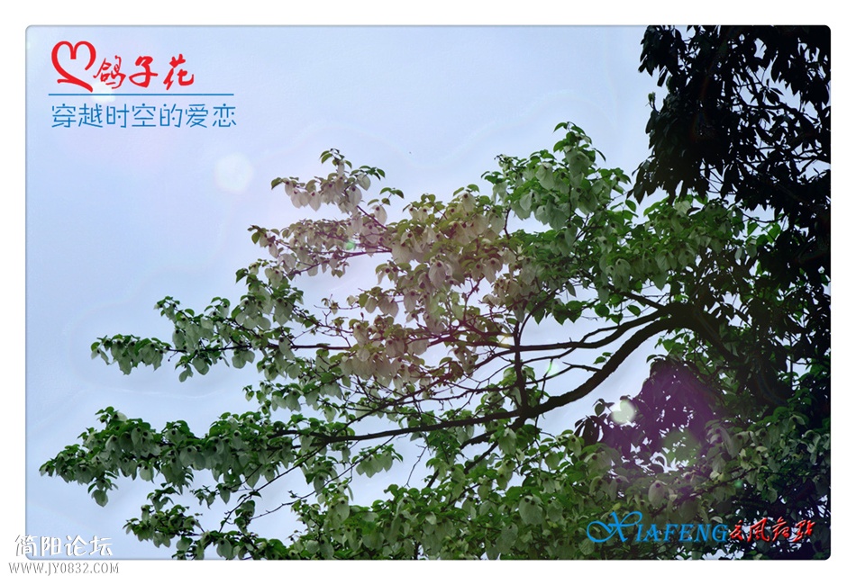 DSC_0731a_副本.jpg