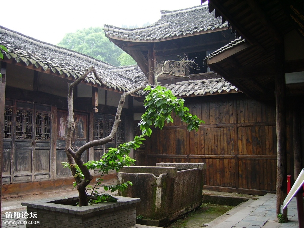 IMGP0084.JPG