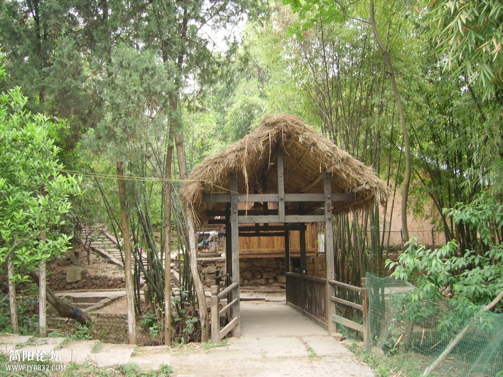 IMGP0093.JPG