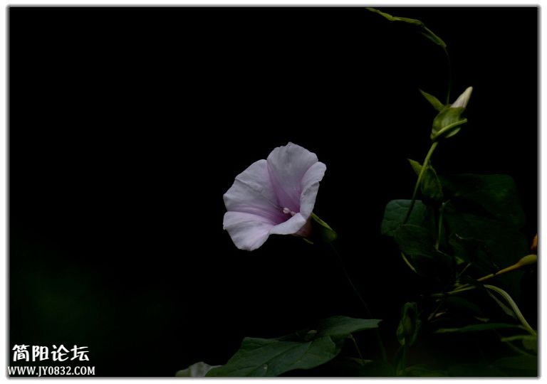 DSC_6256.jpg