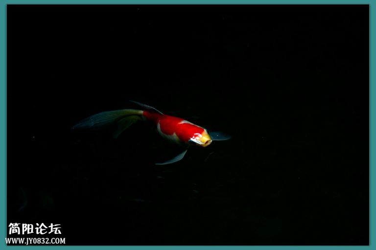 DSC_6109.jpg