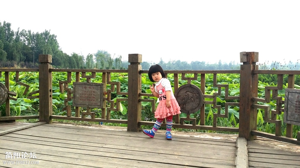 08.jpg
