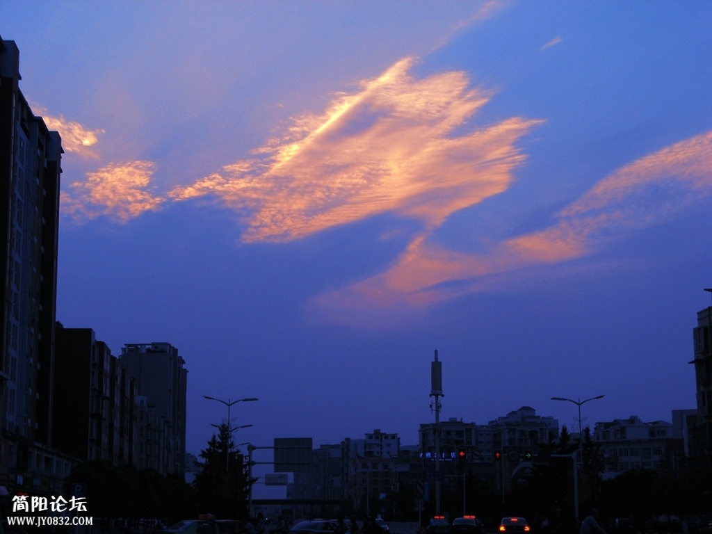 IMG_0753.jpg