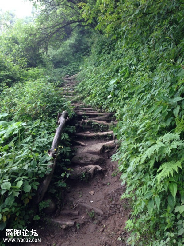登顶的路.JPG