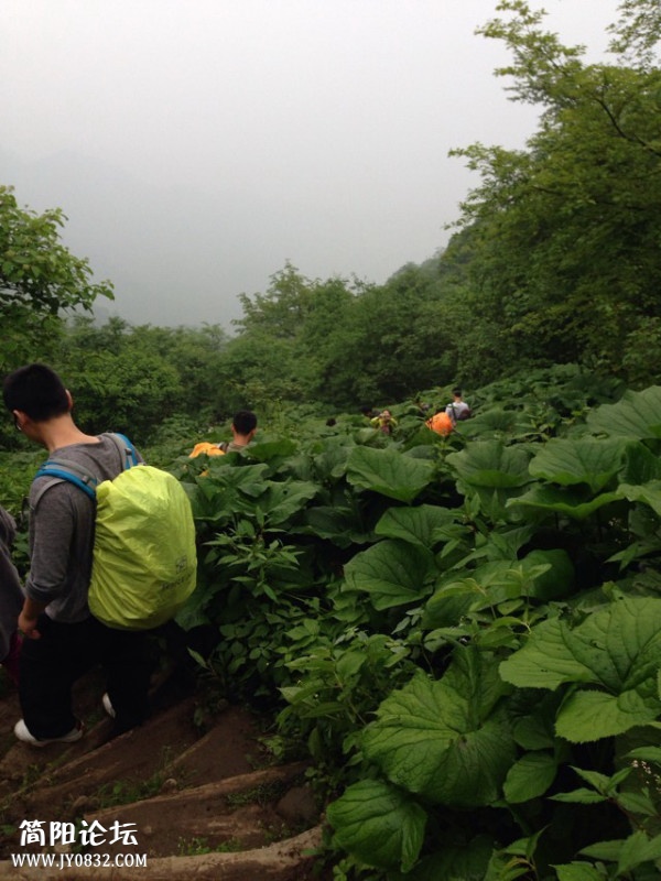 下山的路.JPG