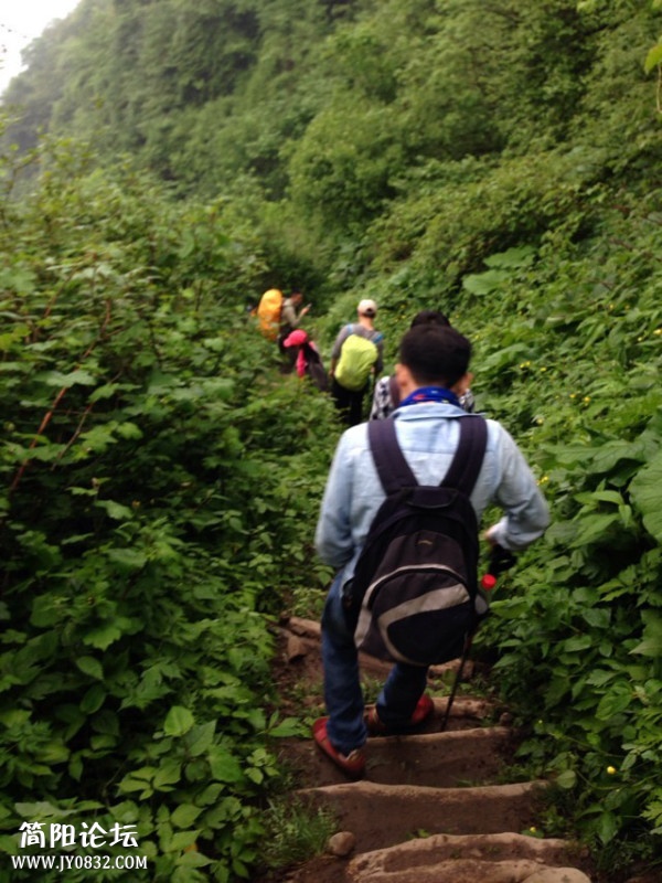 下山的票走路姿势已改变.JPG