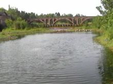 t0117afbccfa467344e.jpg