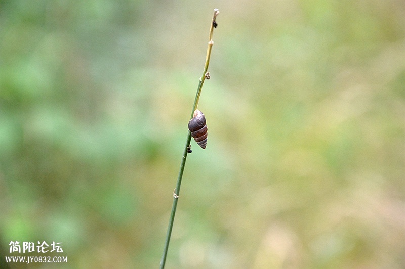 DSC_0133_副本.jpg