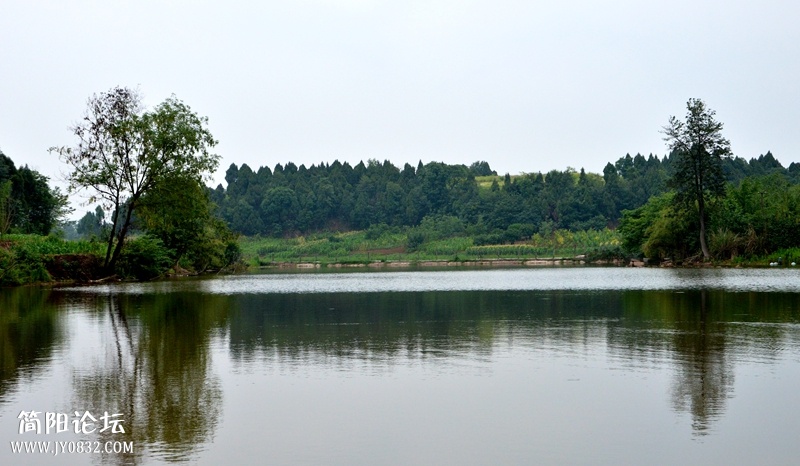 DSC_0165_副本.jpg
