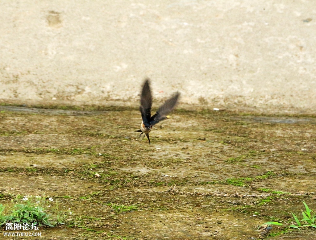 IMG_2745.jpg