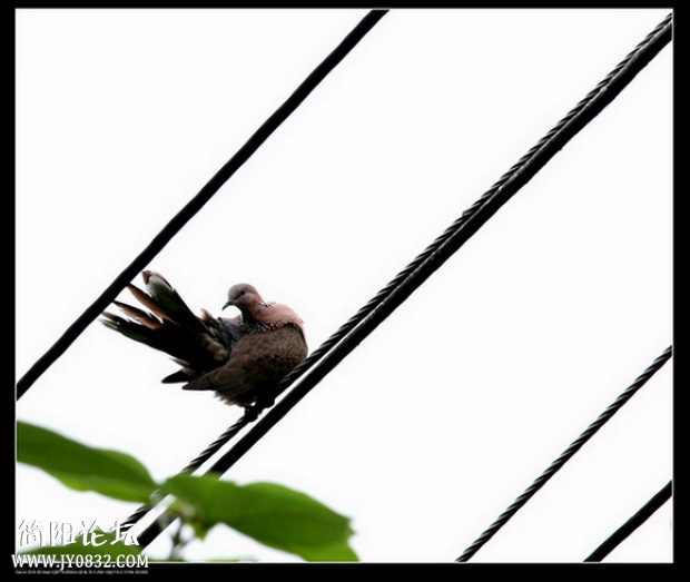 IMG_5882a_副本a00.jpg