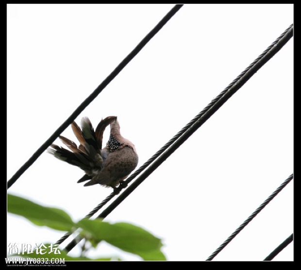 IMG_5913a_副本a00.jpg