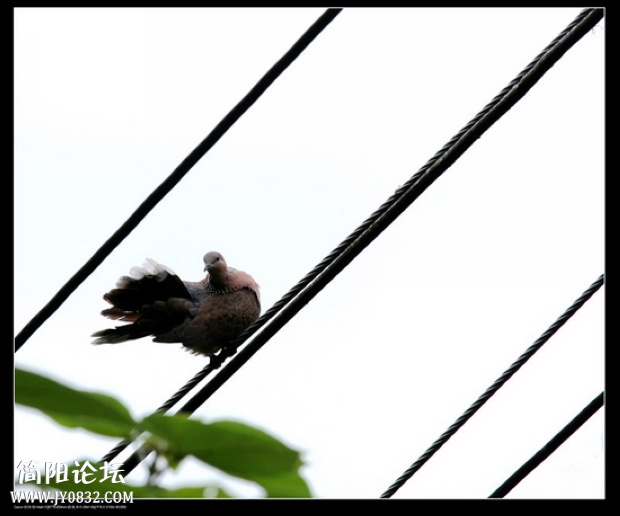IMG_5900a_副本a00.jpg