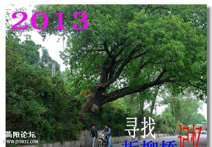 13041621152554871_2345看图王.jpg