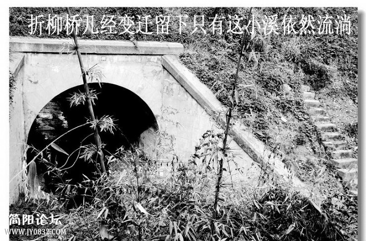 13041621193015288_2345看图王.jpg