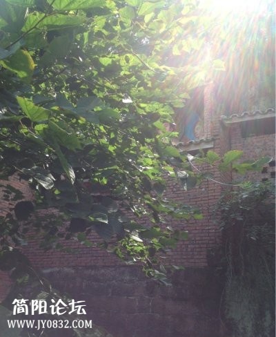 14050708241874989_2345看图王.jpeg