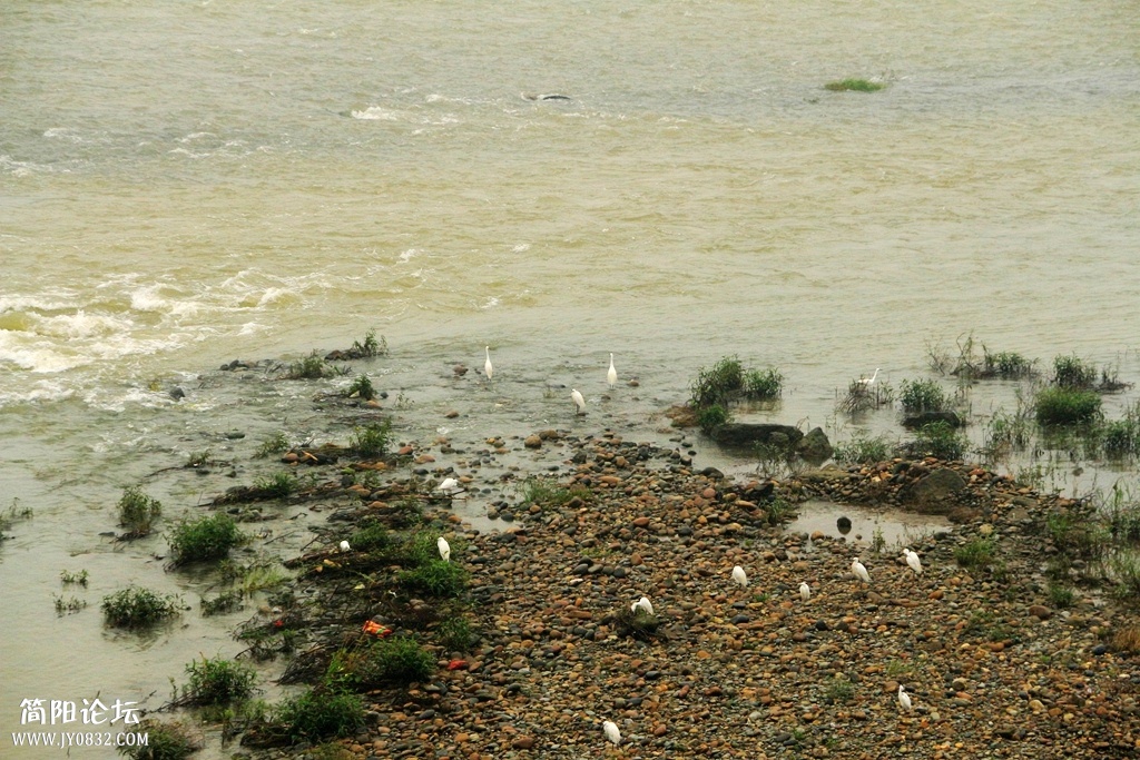 IMG_3210.jpg