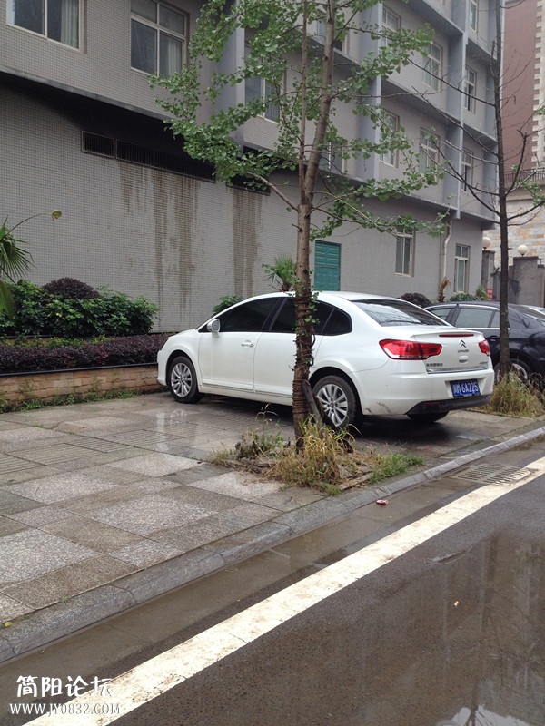 乱停车