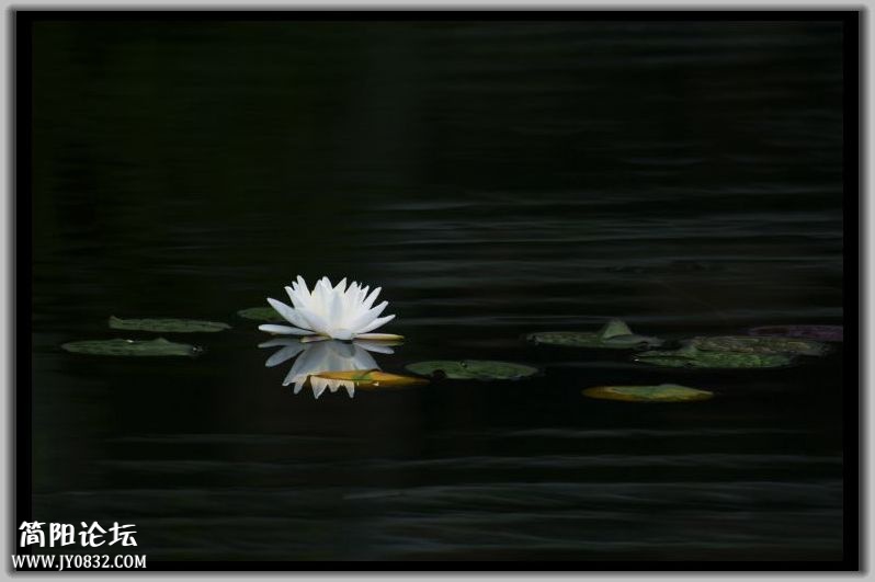 DSC_7256.jpg