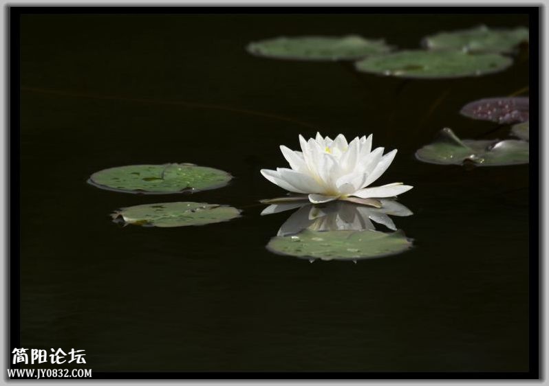DSC_7287.jpg