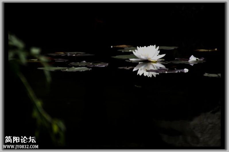 DSC_7301.jpg