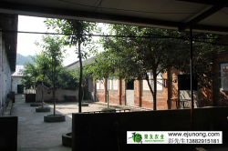 IMG_0178.png