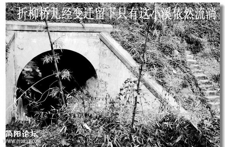 13041621193015288_2345看图王.jpg