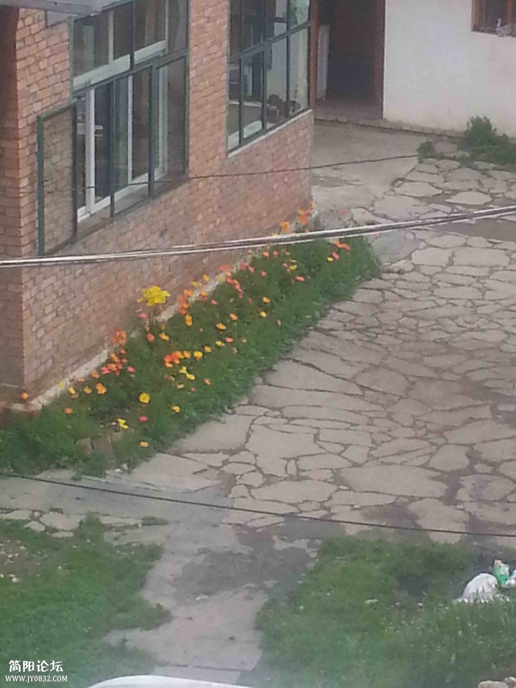 20140628_132854.jpg